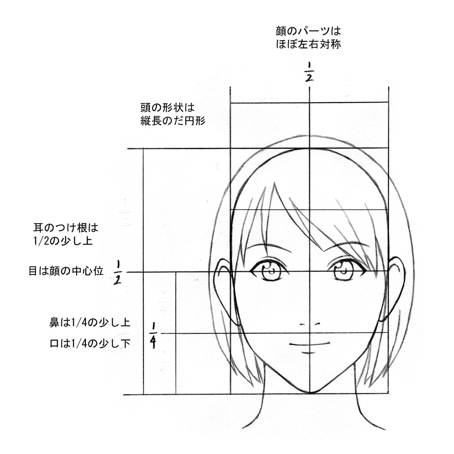 人体のバランスの画像