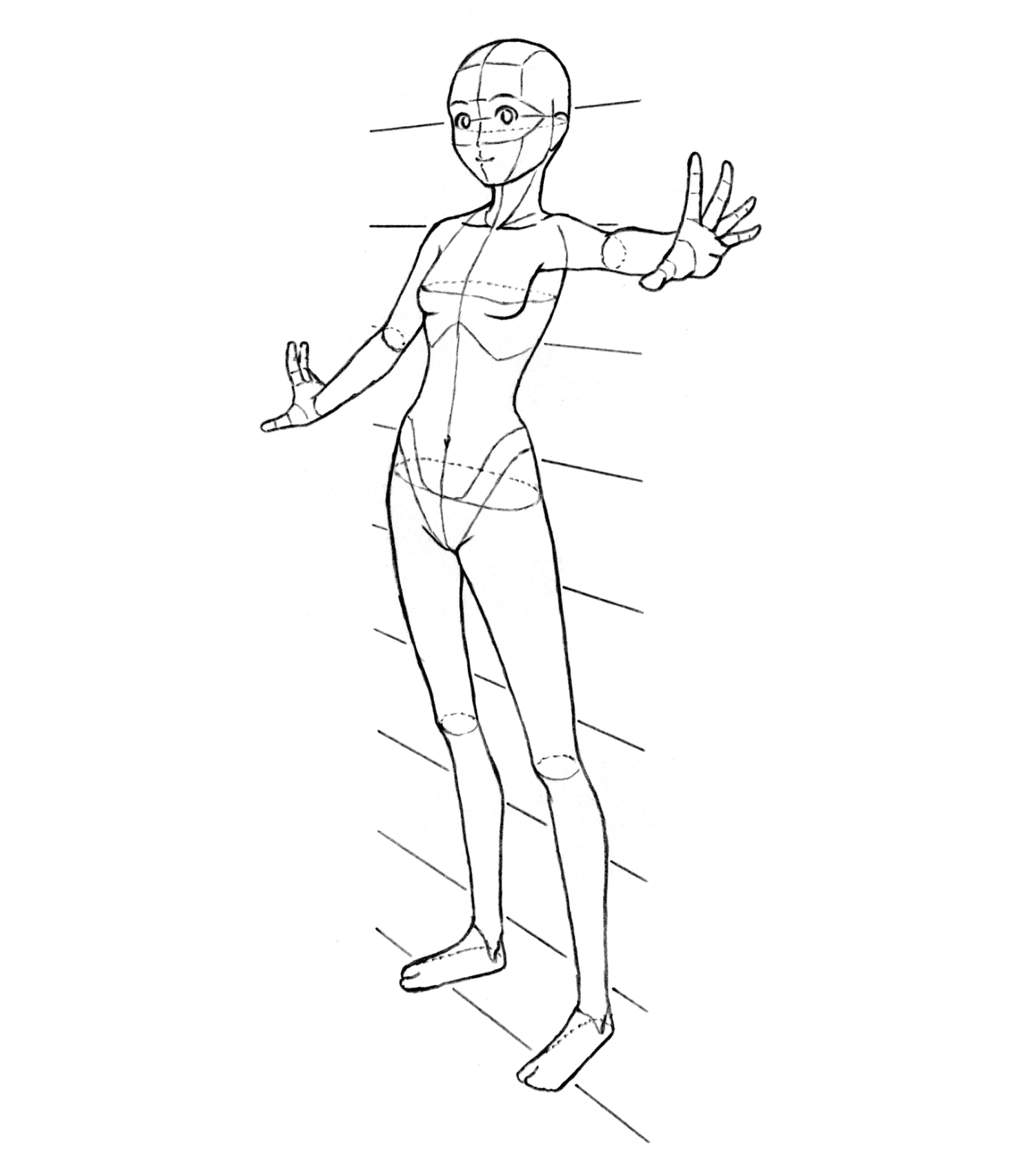 人体の中のパースの画像